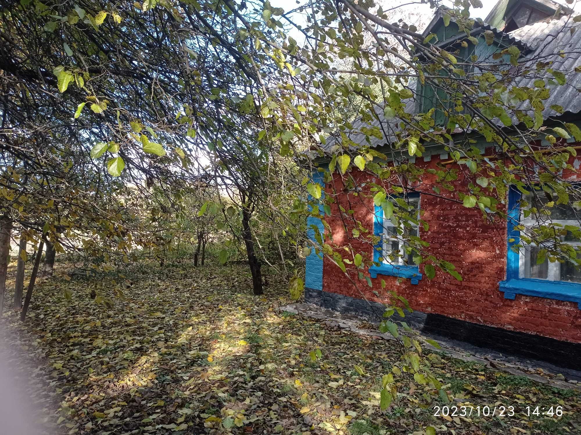 Будинок ( с. Уманцівка )