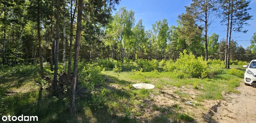 Jeziorsko Księża Wólka działki działka Jeziorsko Pęczniew rekreacyjne