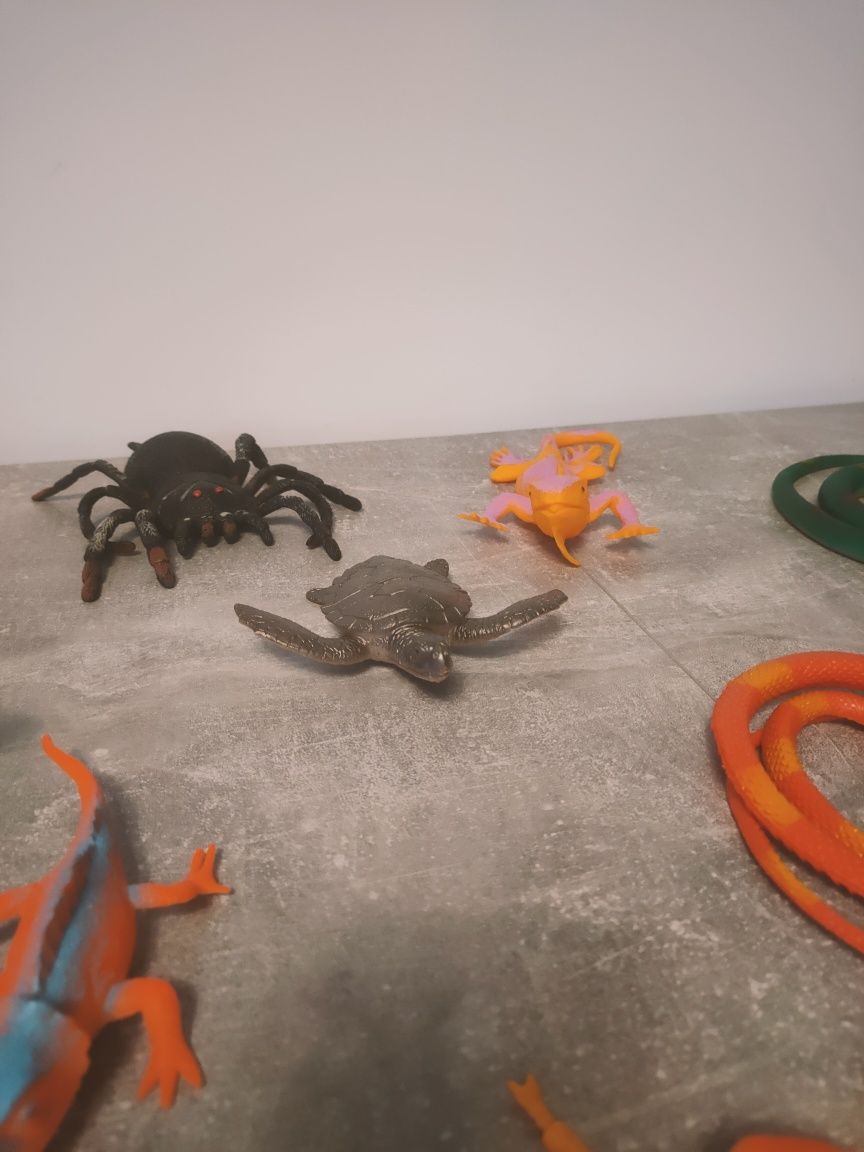 Kolekcja zabawek - płazy/owady/pająki