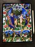 ipad pro 12.9 M1 (5th generation) 128 GB, case e pencil