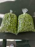 Bób świeży 4kg/50 zł