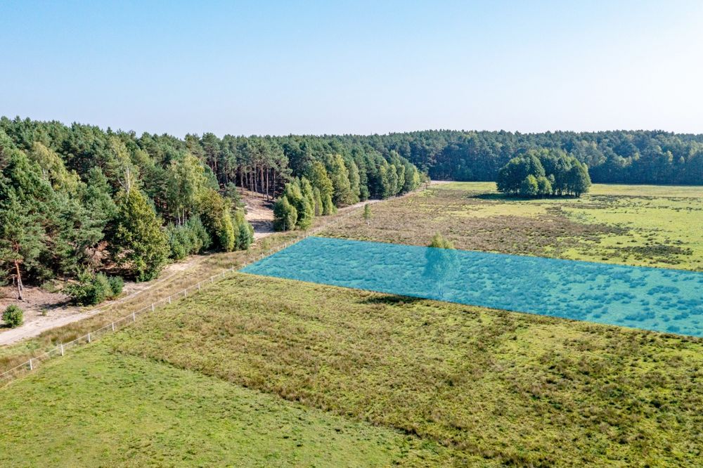 Działka rolno budowlana przy lesie Roździn