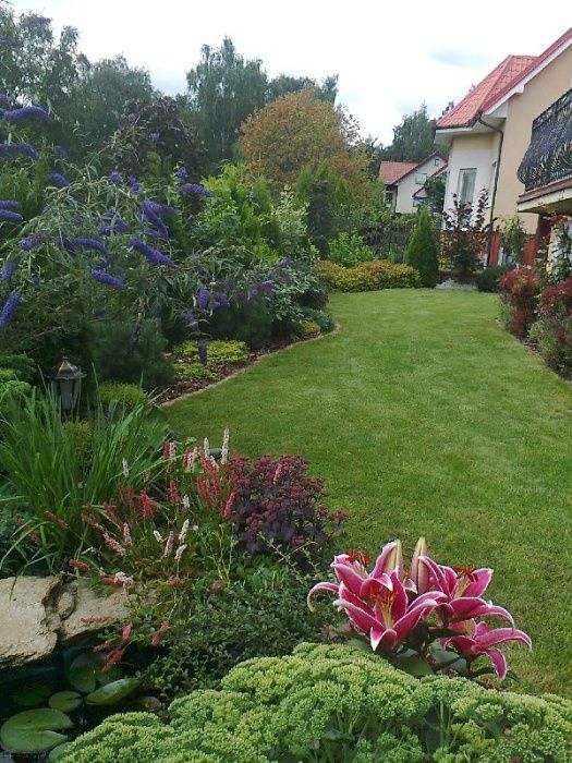 Projekt ogrodu, usługi ogrodnicze, nawadnianie, trawnik z rolki