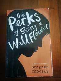 Stephen Chbosky - The Perks of Being a Wallflower (Marcas de uso)