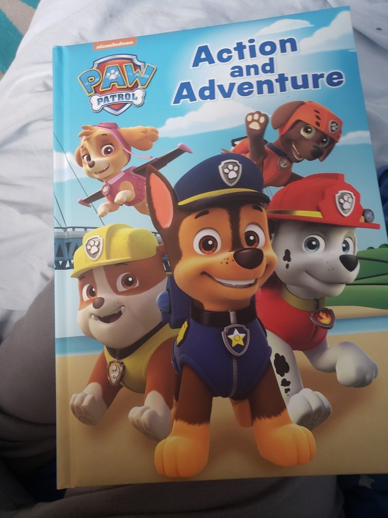 Paw patrol książka