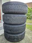 Шини 225/65/Р17 Vredestein Wintrac Extreme