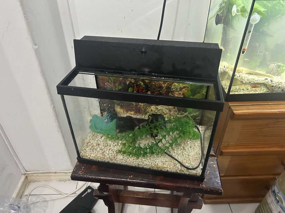 Aquario 14 litros