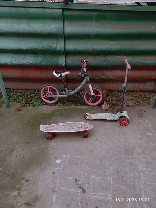 Отдадим бесплатно