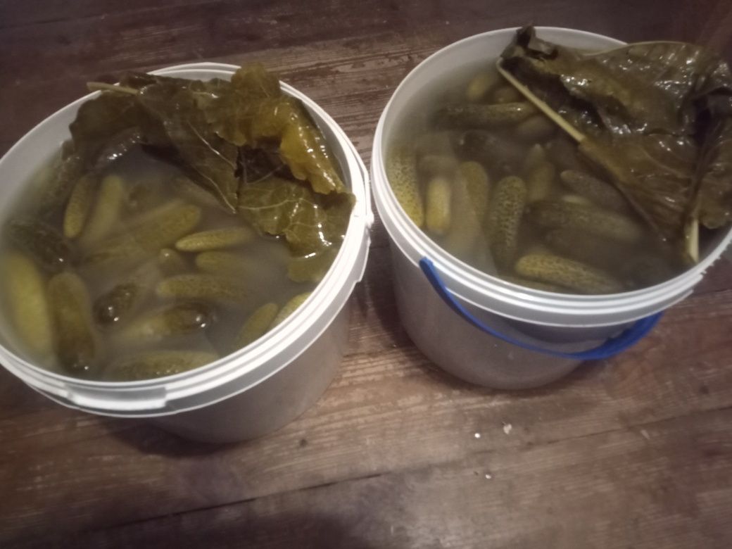 Огірки солоні хрустящі