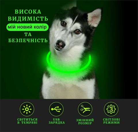 Нашийник для собак LED з USB заряджання | Регульована довжина