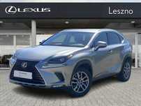 Lexus NX Comfort AWD I Salon PL I Lexus Mikołajczak