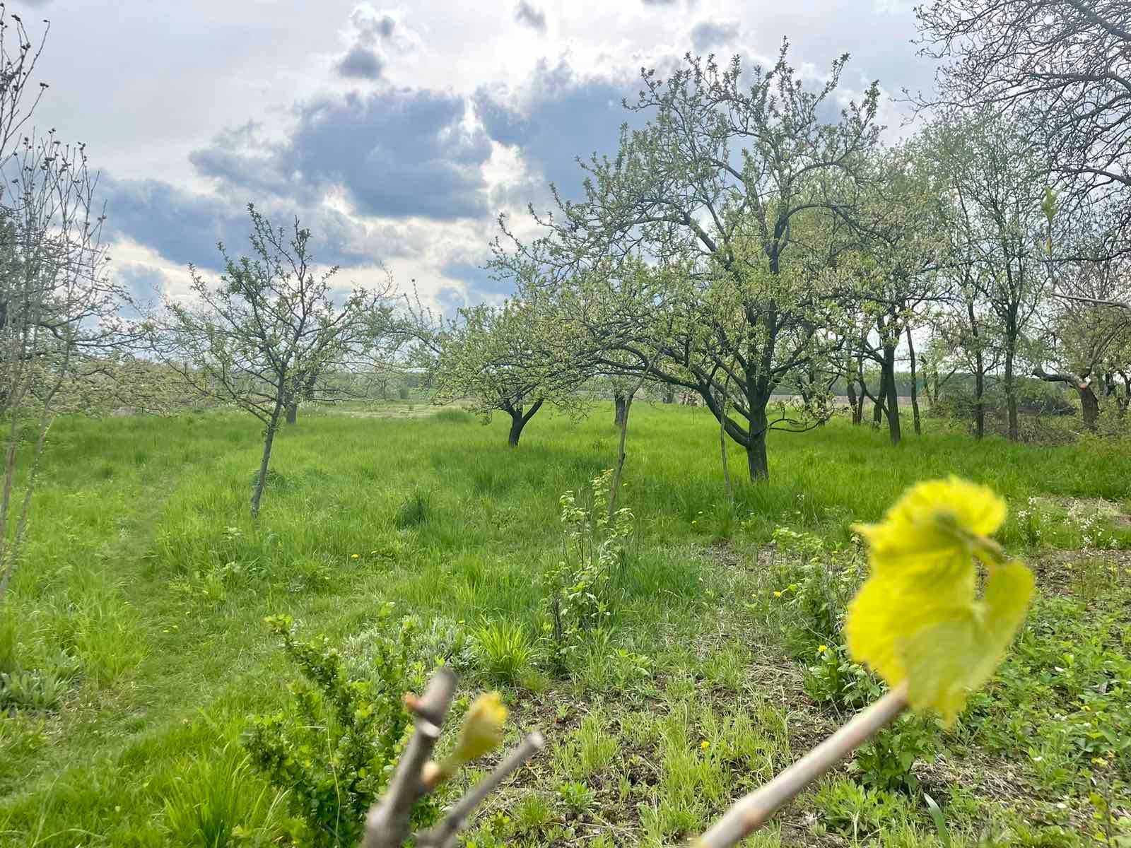 Продається земельна ділянка в с. Хижинці 7811