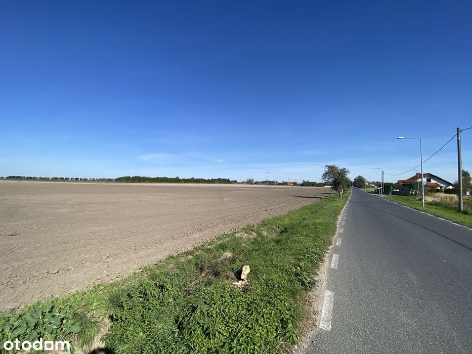 Działka rolna inwest. 3 ha Sokolniki — cisza i natura, blisko Poznania