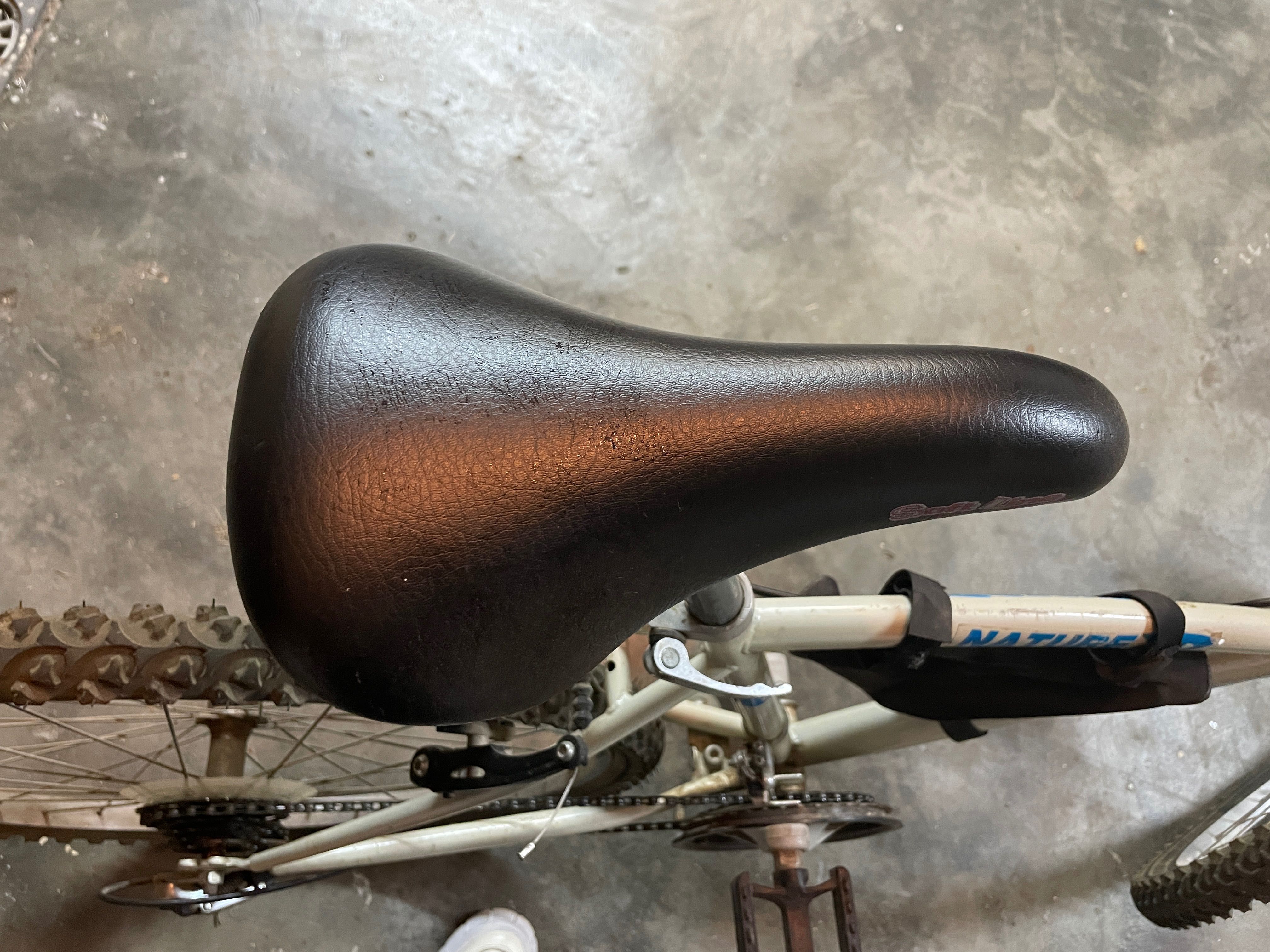 Bicicleta Branca