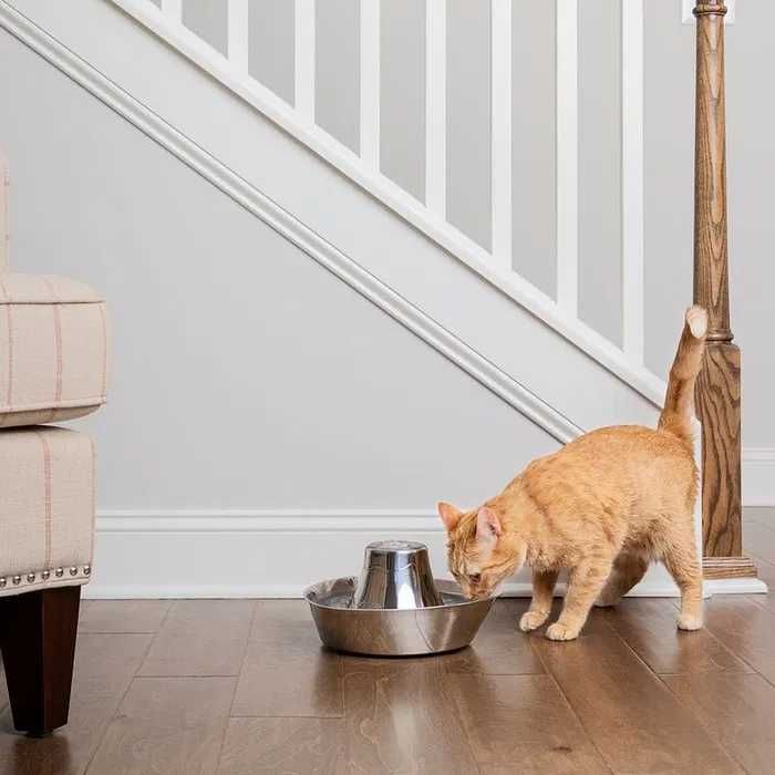 PetSafe® poidełko fontanna ze stali nierdzewnej