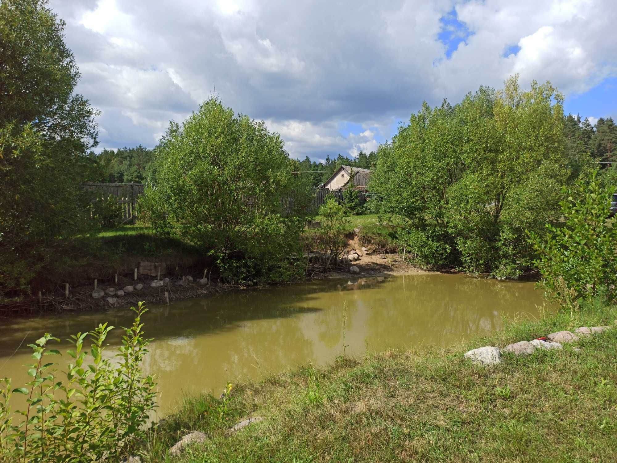 TWÓJ RAJ- Apartament /Pokoje* 2 km Zalew Siemianówka* 30 km Białowieża