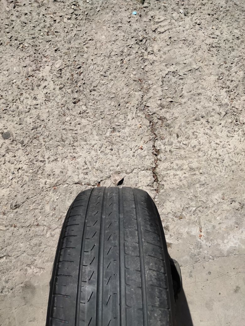 Резина літня Pirelli CINTURATO P7 205/60R16