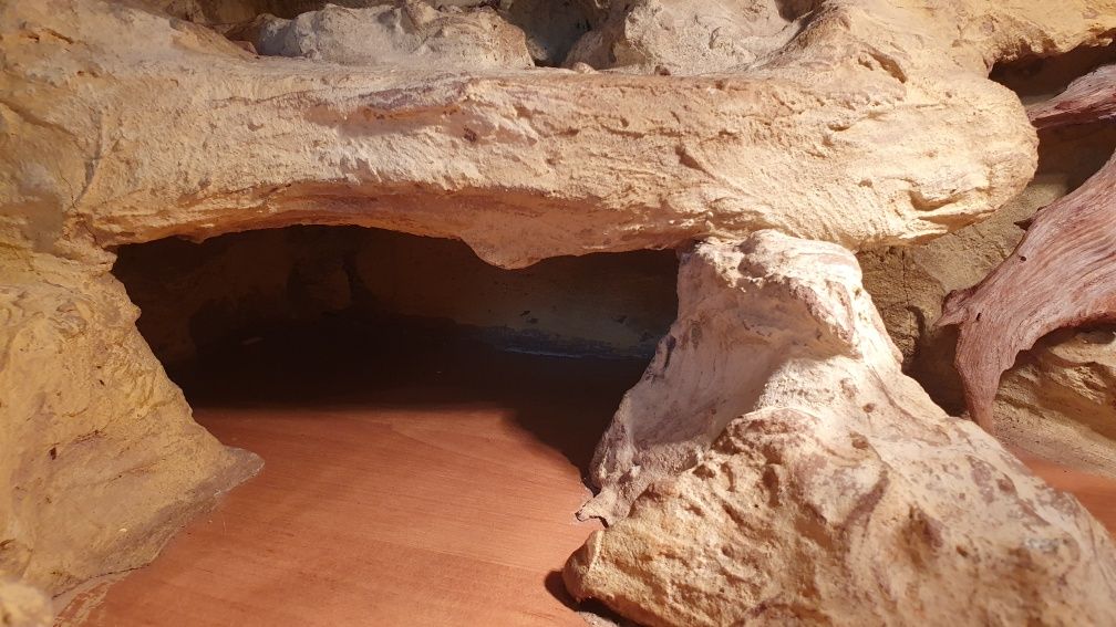 Terrarium dla gada  100x40x40