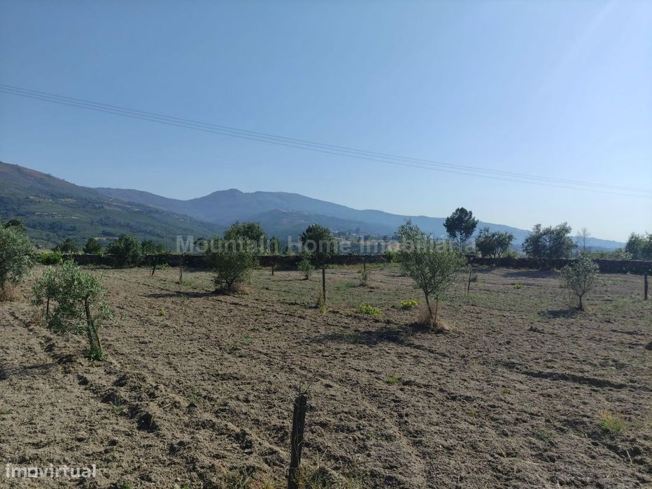 Terreno Rústico  Venda em Figueiró da Serra e Freixo da Serra,Gouveia