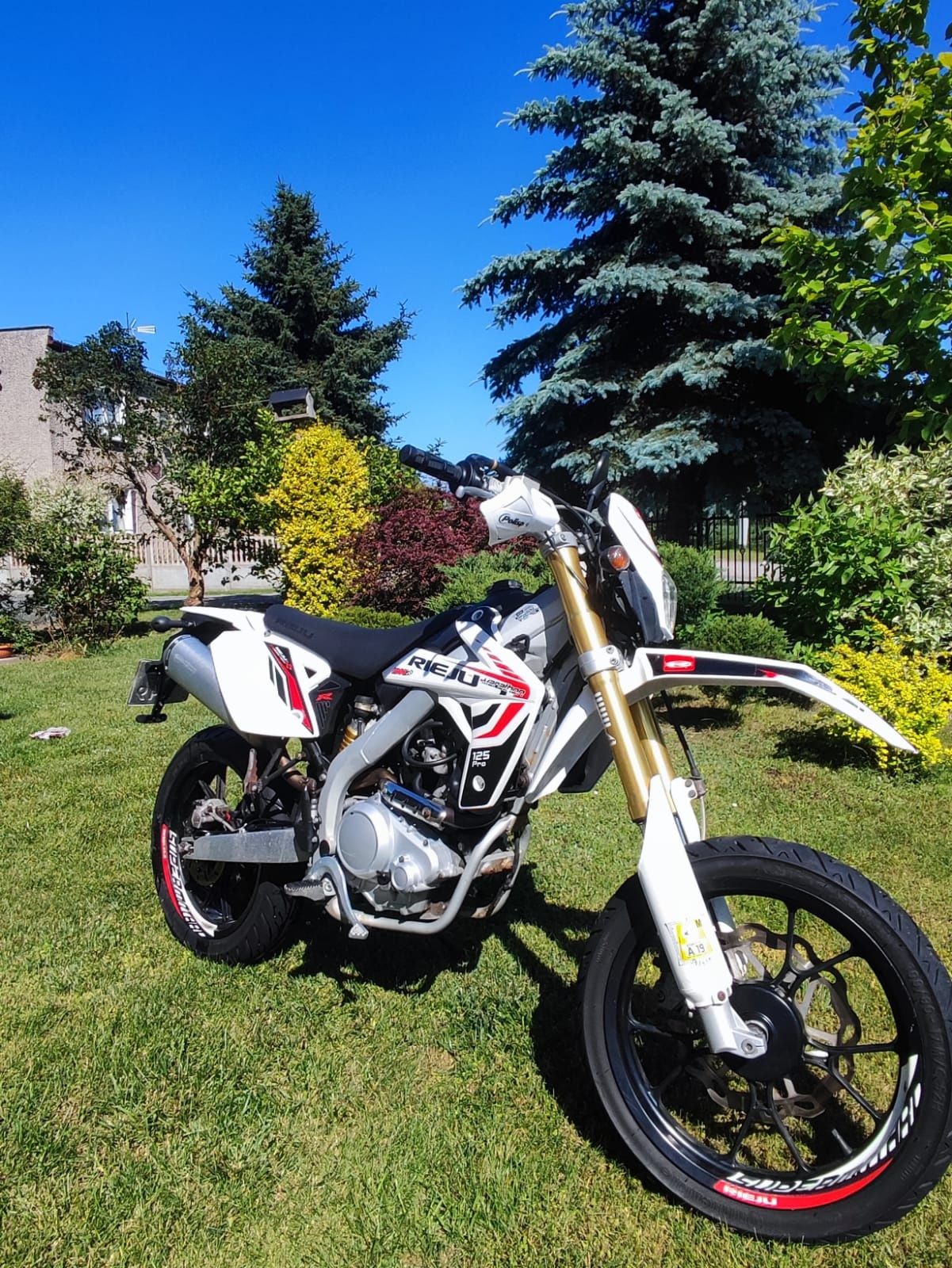Motor Rieju MRT2