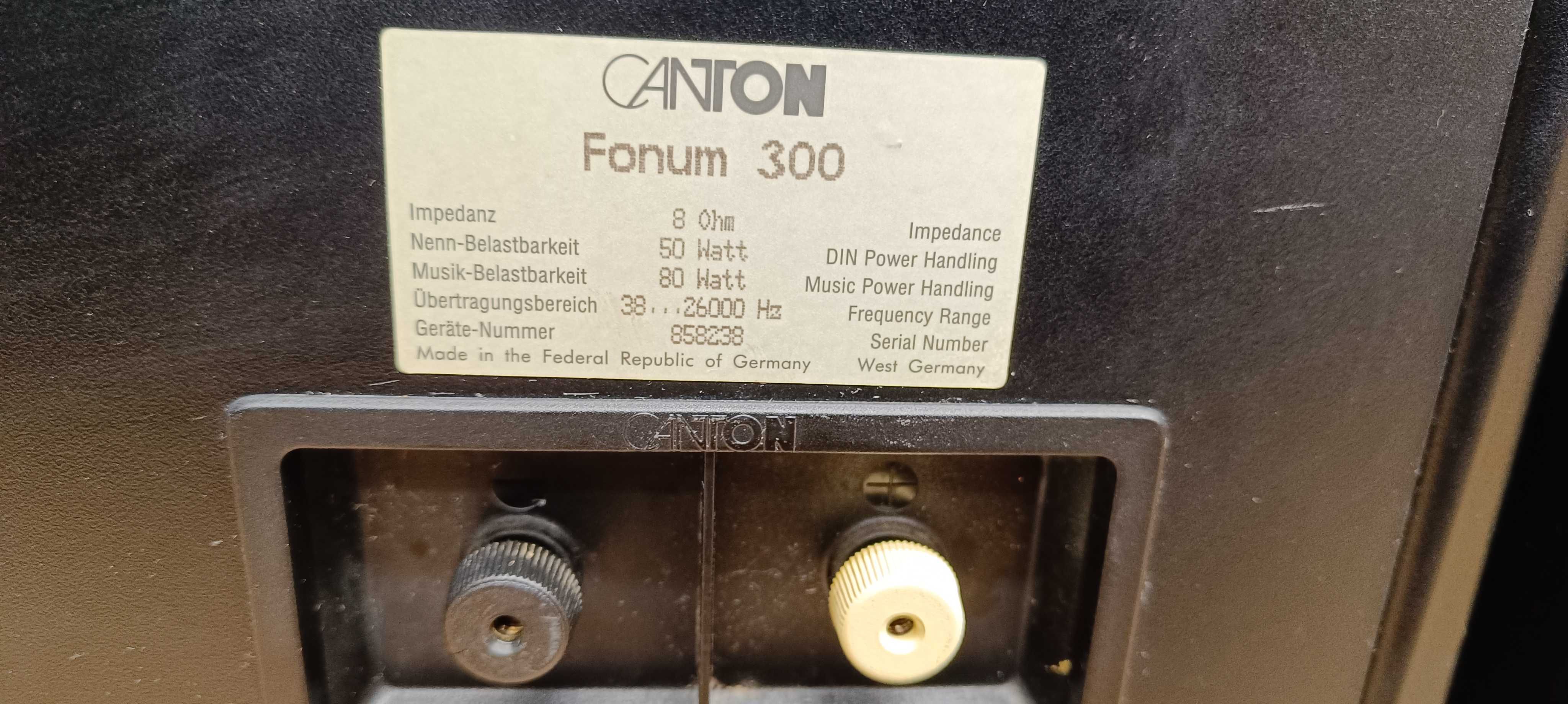 Акустика  Canton Fonum 300