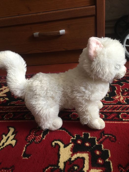 Белая кошечка