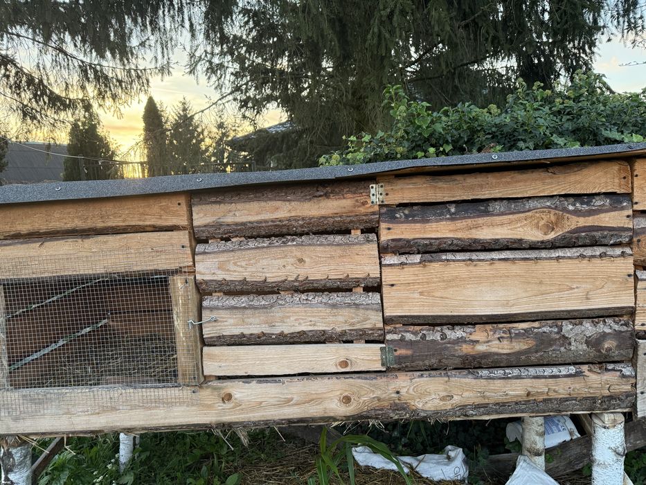 Klatki dla królików