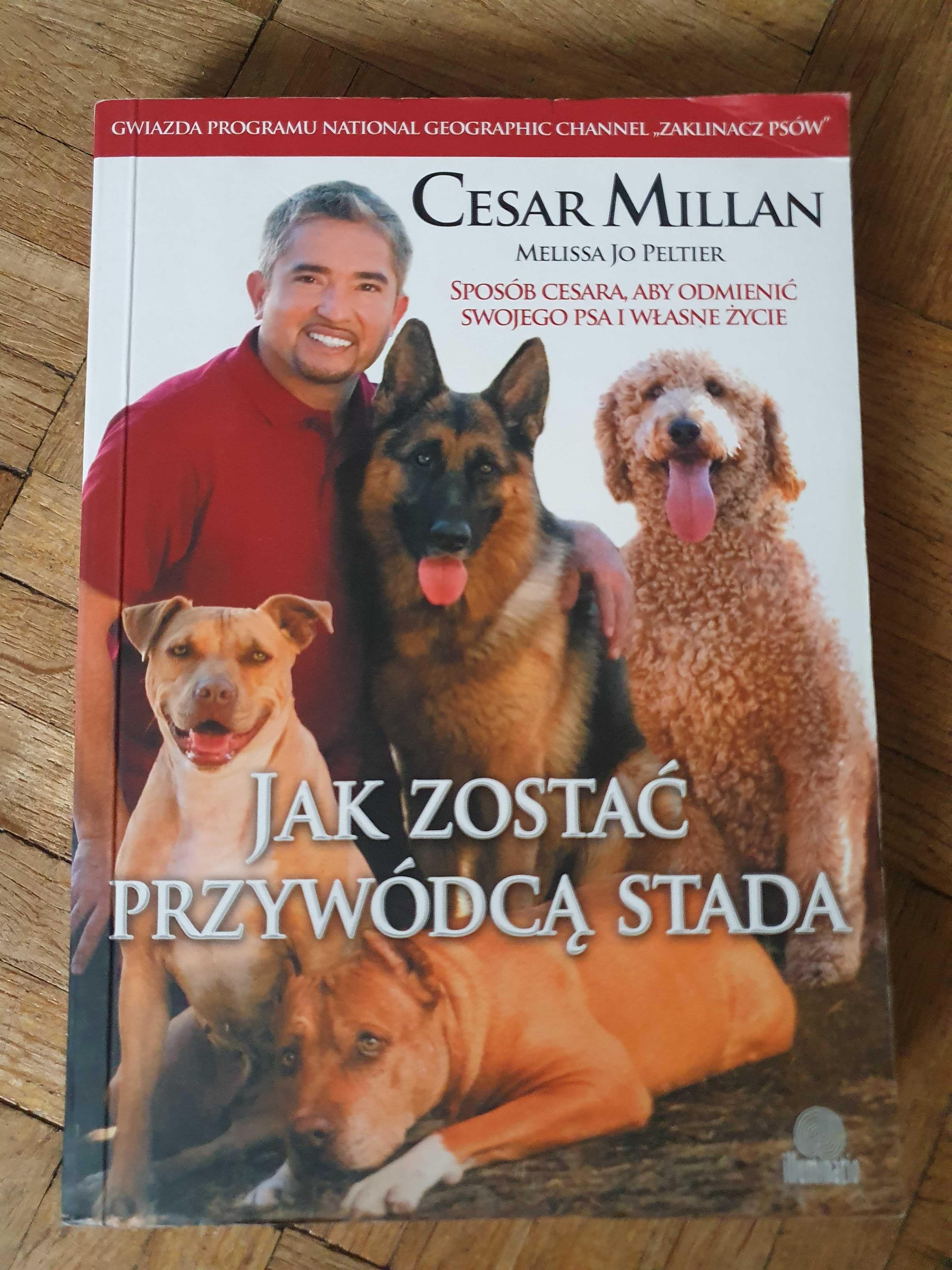 SUPER STAN Cesar Millan, Jak Zostać/Jak Uszczęślowic/Zaklinacz