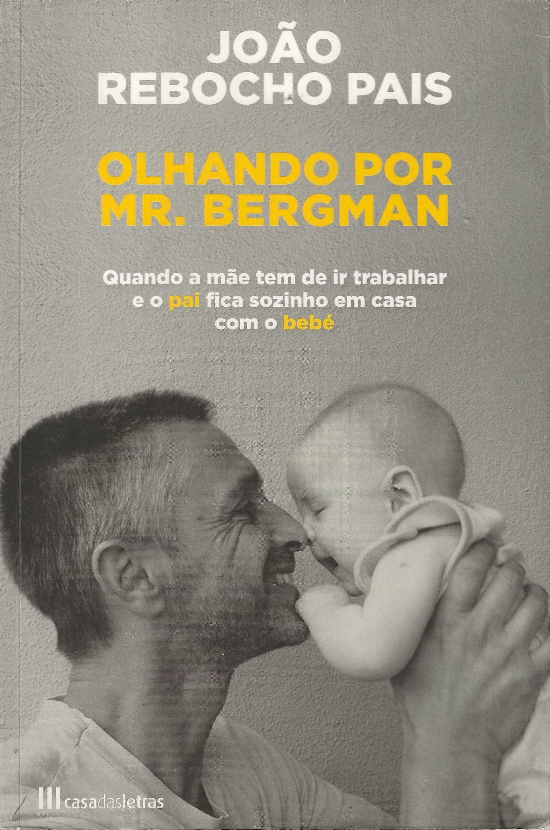 Olhando Por Mr. Bergman