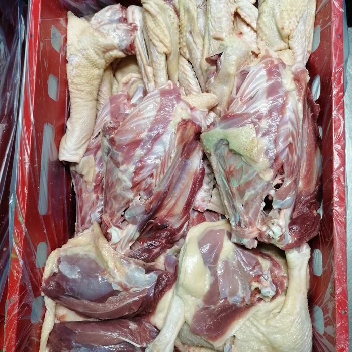 Gęsi z gospodarstwa krew okrasa smalec