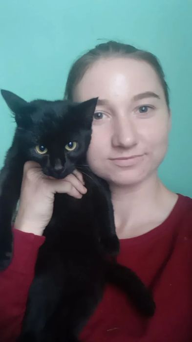 Котик,кошеня,кіт,котя,котятко,кошенятко