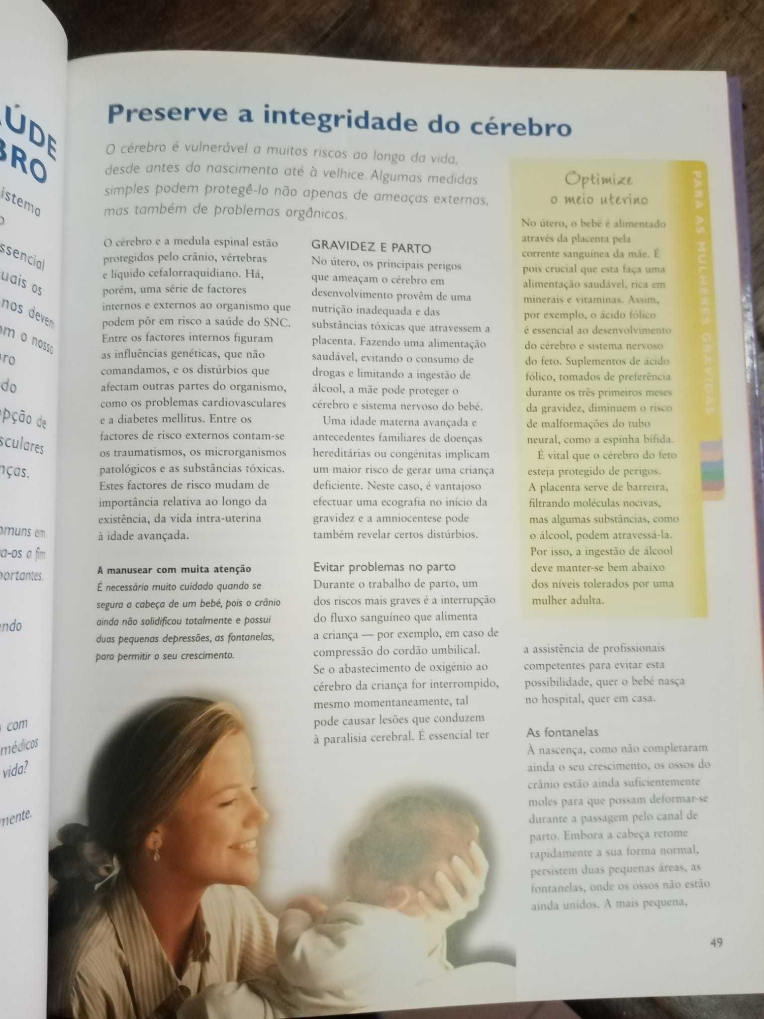 Cérebro e sistema nervoso central