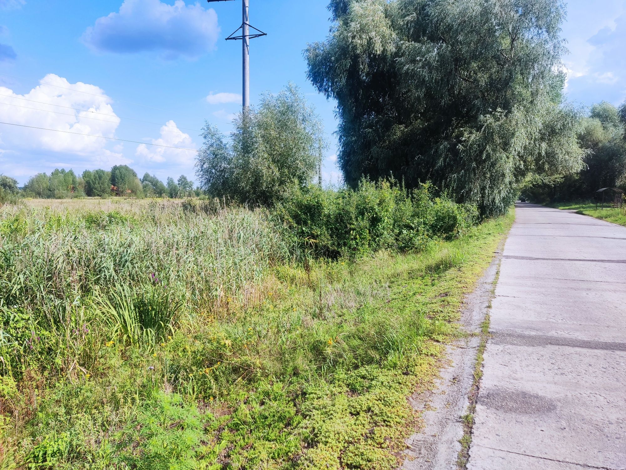 Продам фасадный участок ділянка с Вишенки 15 сот 12000 у.е.  рядом Осо