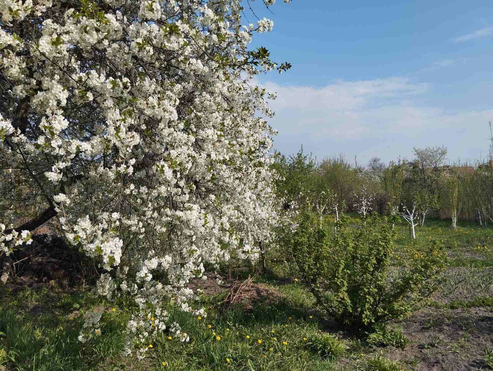 Будинок сучасного планування