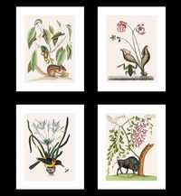 Plakaty Vintage, Rośliny i Zwierzęta