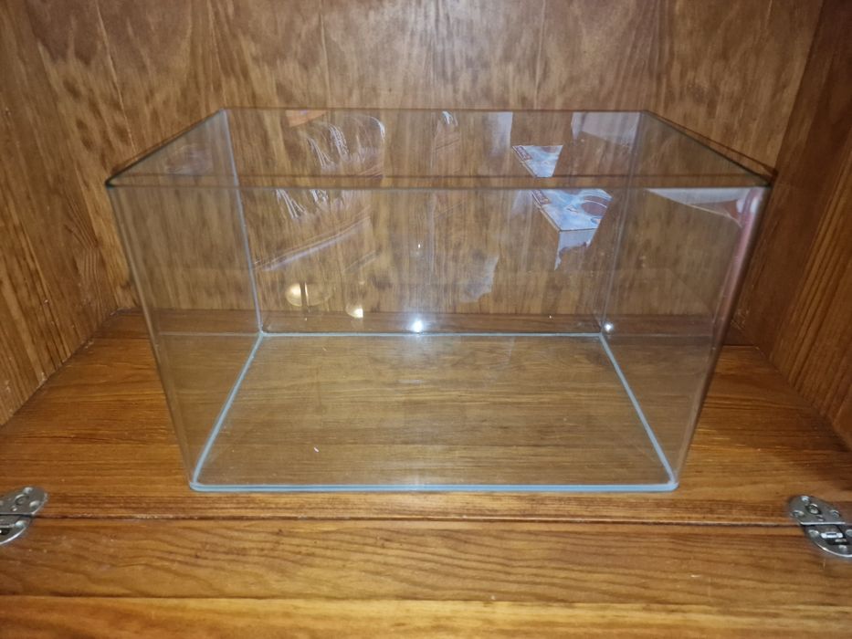 Aquário 24 L em vidro + pedras decorativas (oferta)