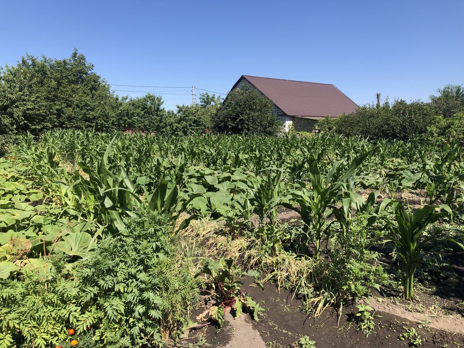 Ділянка/участок 15сот в с.Яськи 45км від Одеси