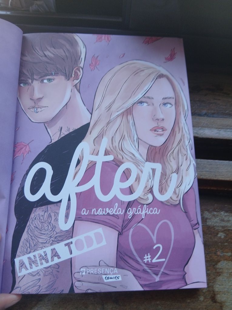 After #2 - A novela gráfica