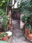 Tortosendo (Covilhã) - Arrenda-se casa