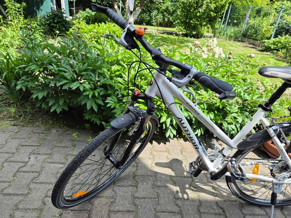 Rower Author Corsaz z niską ramą