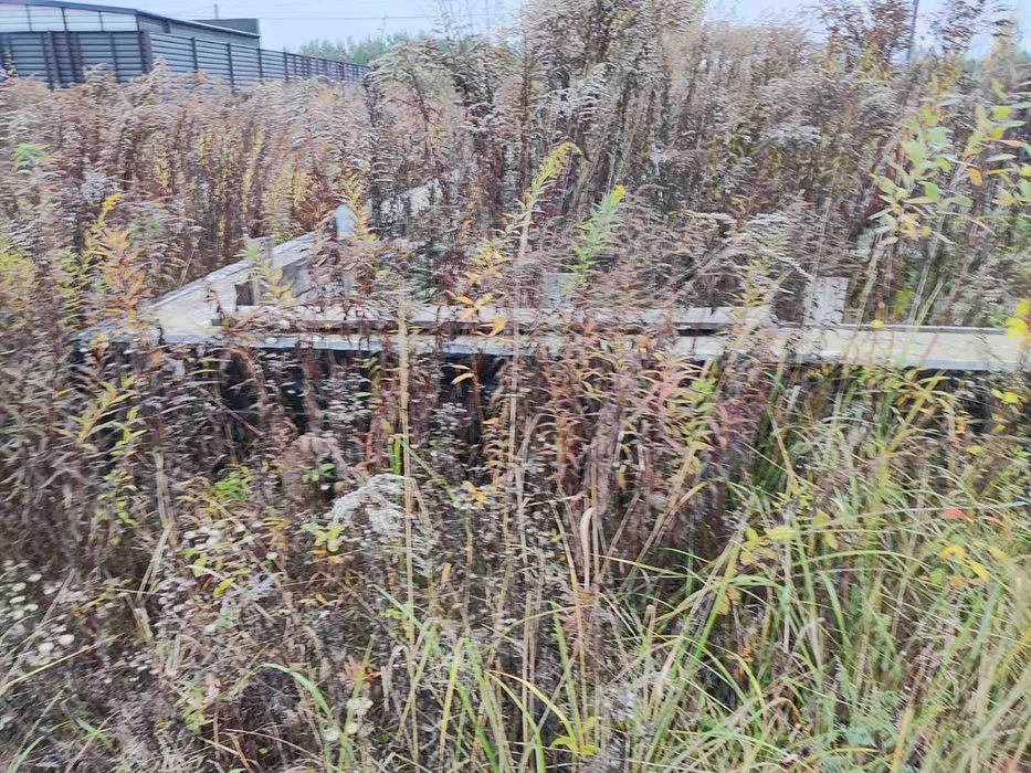 № 13840 -Ділянка в Зарічанах, на початку. Рівна, суха, фундамент 14х14