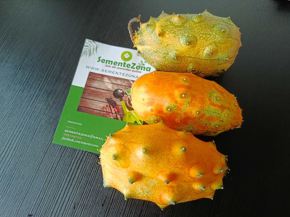 10 Sementes de Pepino Kiwano - Cucumis metuliferus
