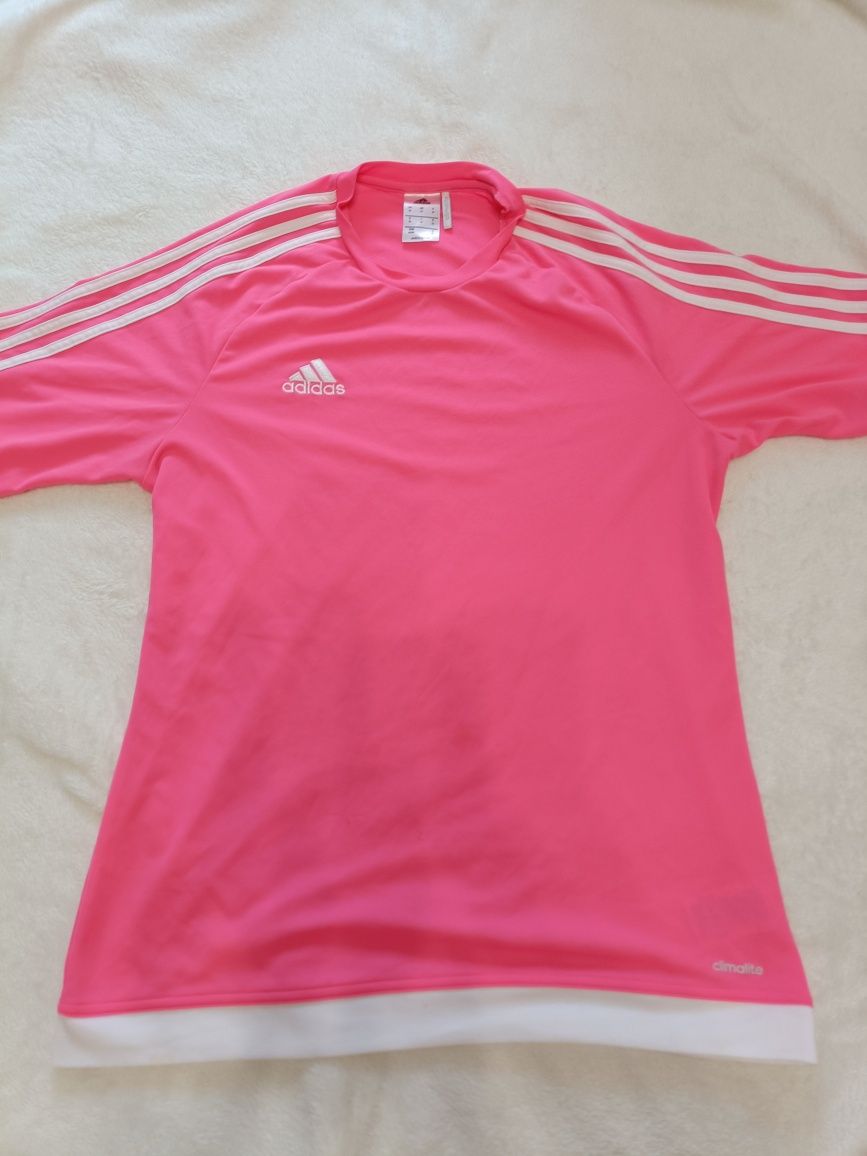 Боді  ZARA,  топ у стилі Skims, ADIDAS