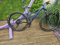 Rower NS Bikes Eccentric lite 2