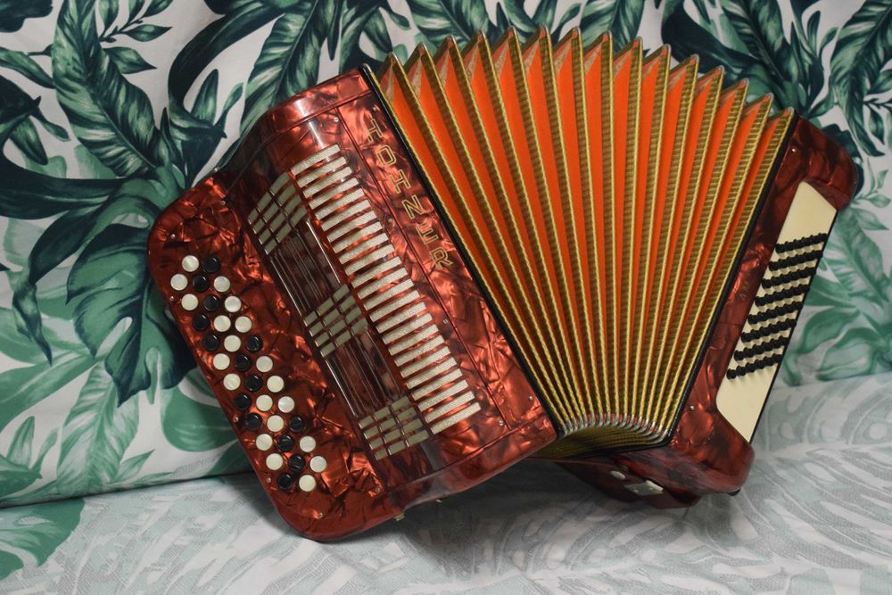 Acordeao Hohner Amati 2 Voz 48 Baixos, N 72