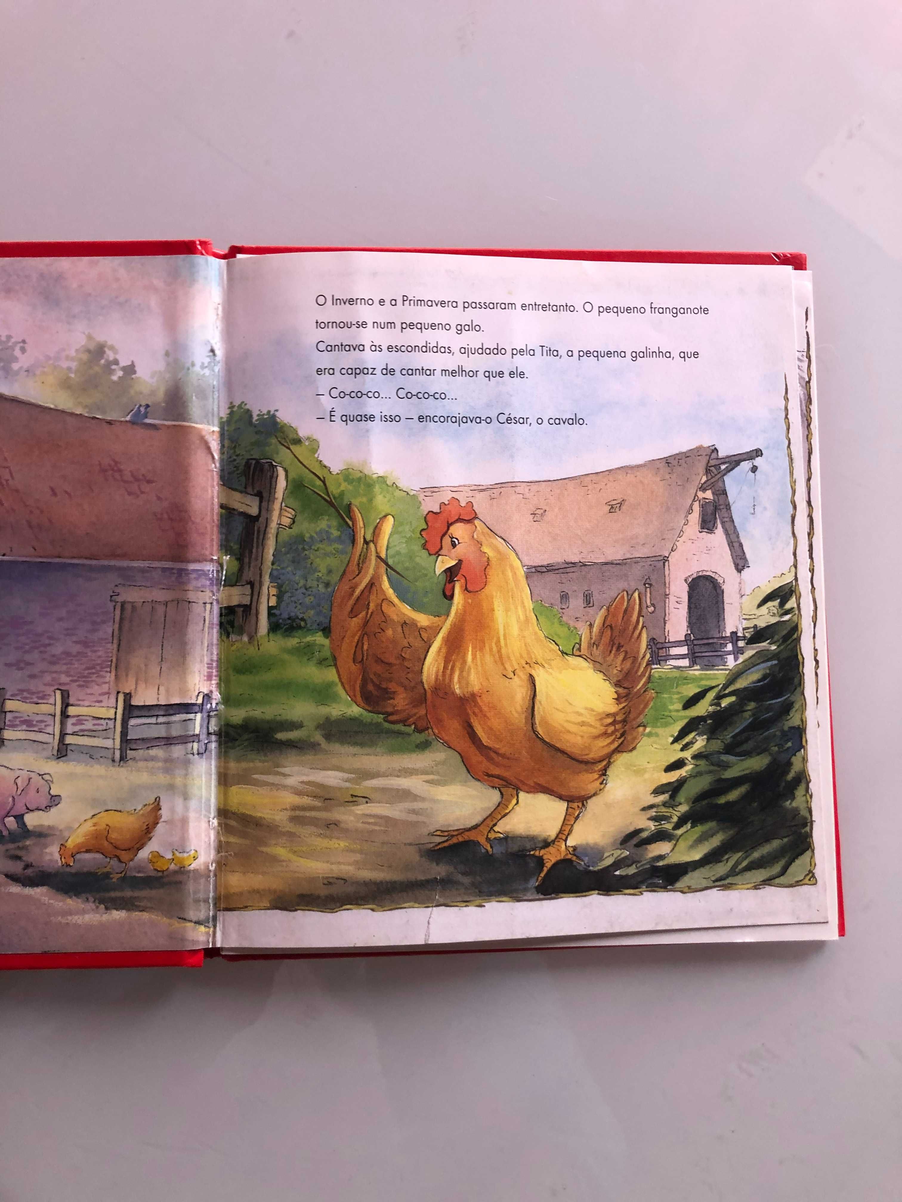 Livro infantil - O Galo Zezé