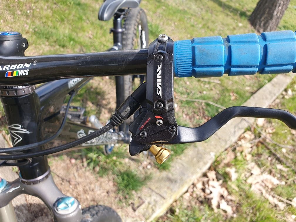 Santa Cruz Chameleon