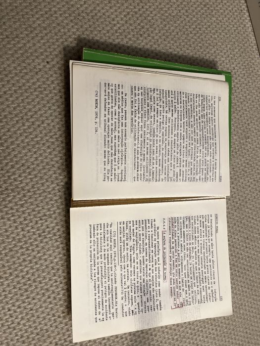 Direito Penal - Teresa Pizarro Beleza