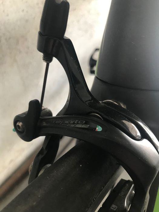 Bianchi intrépida