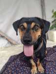 Kiwi poleca się do adopcji :)